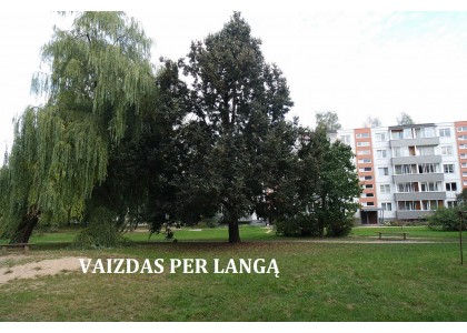 PARDUODAMAS 2 KAMBARIŲ BUTAS ŽIRMŪNUOSE, ŽIRMŪNŲ G. 